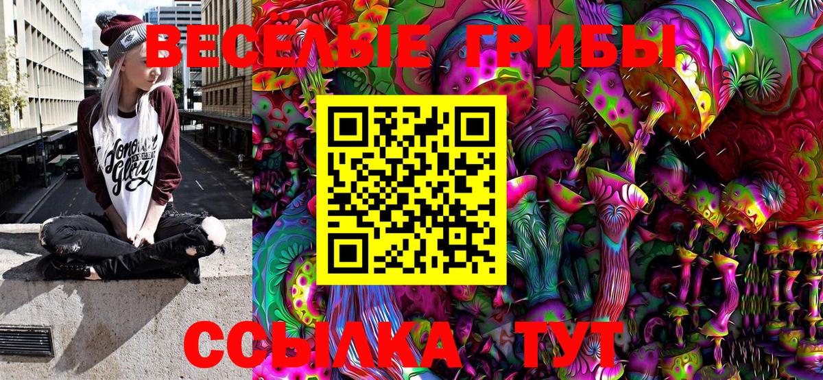 Псилоцибиновые грибы MAGIC MUSHROOMS  купить наркотик  Приморско-Ахтарск  Вход с VPN 