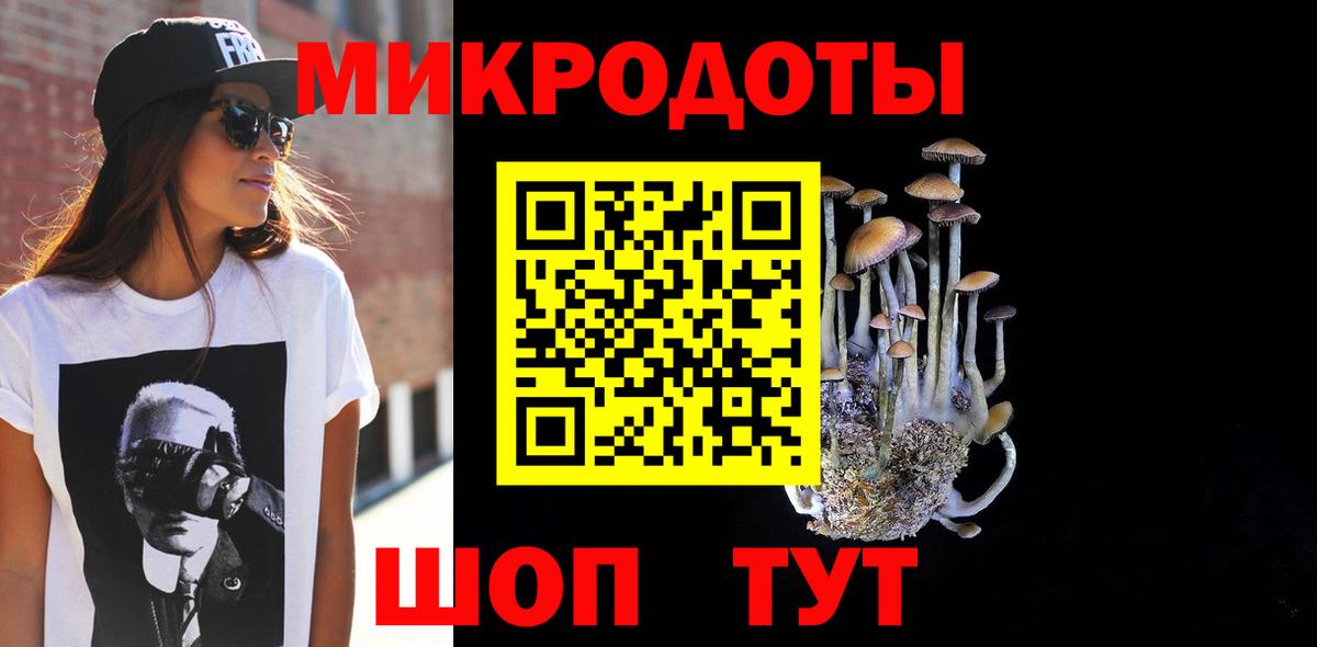 Псилоцибиновые грибы Psilocybe Приморско-Ахтарск